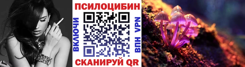 где купить наркоту  Южно-Сахалинск  Галлюциногенные грибы Magic Shrooms 