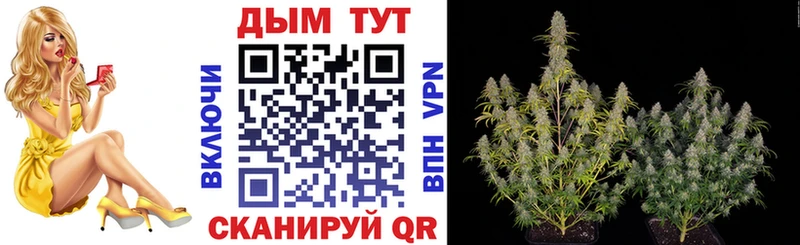 darknet наркотические препараты купить сайты Южно-Сахалинск Каннабис сатива